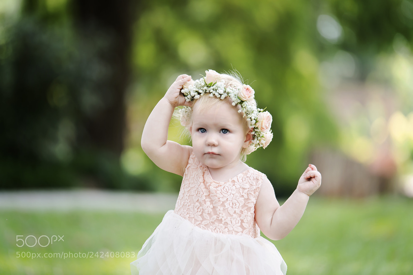 Nikon D800 sample photo. Crown'n around photography