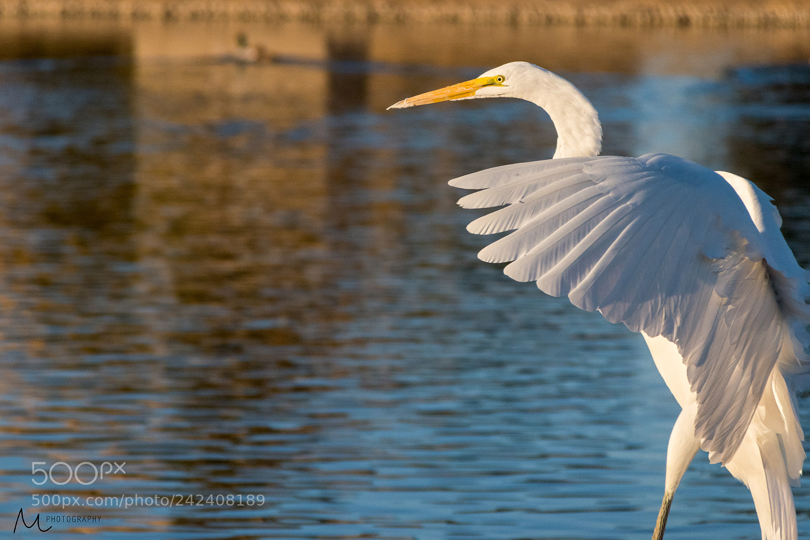 Nikon D5500 sample photo. The light! photography
