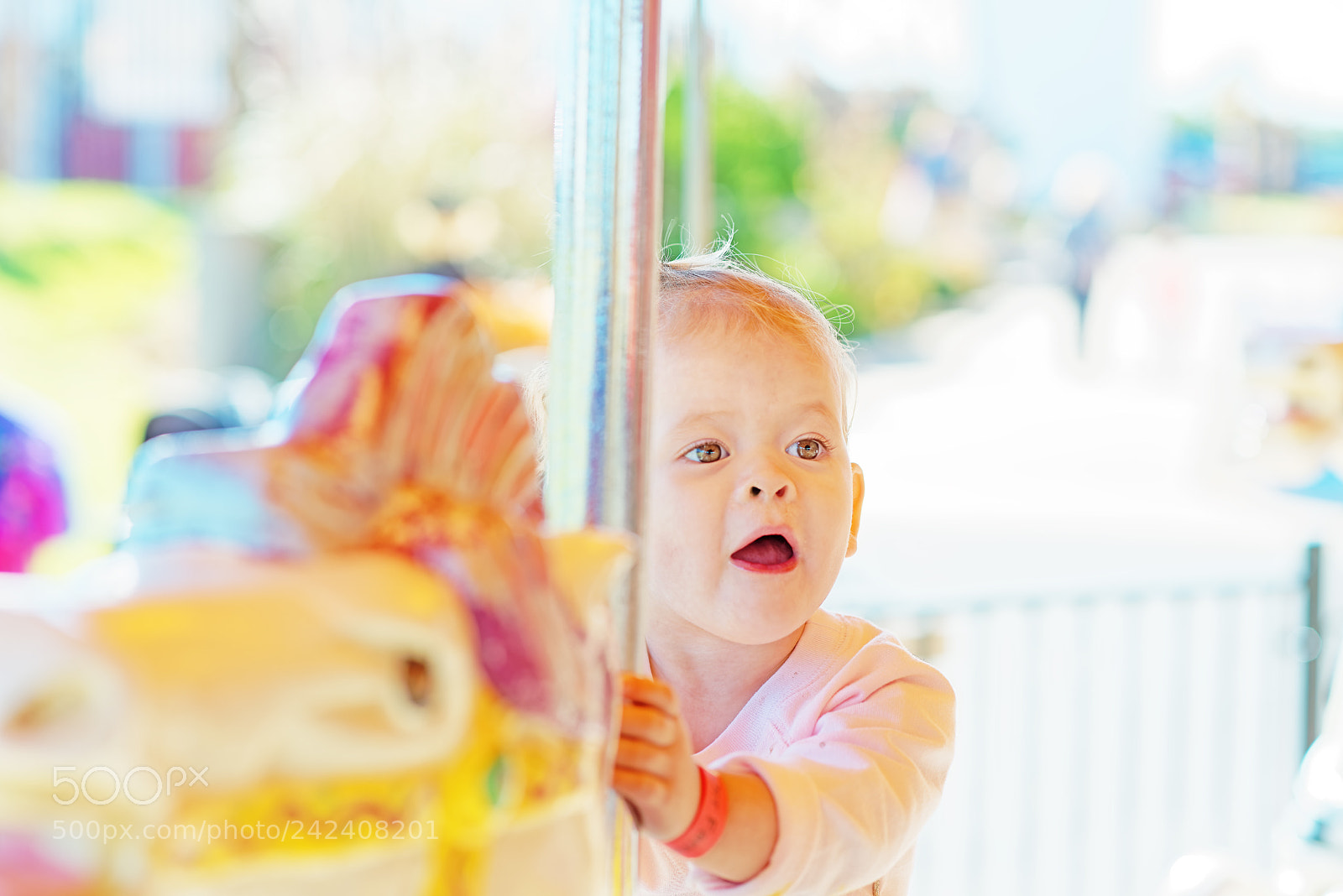 Nikon D800 sample photo. Colorful caracole photography