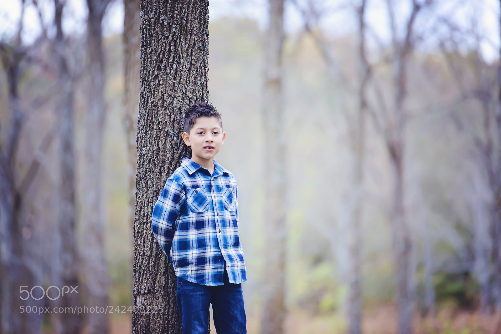 Nikon D800 sample photo. Frumpy forest photography