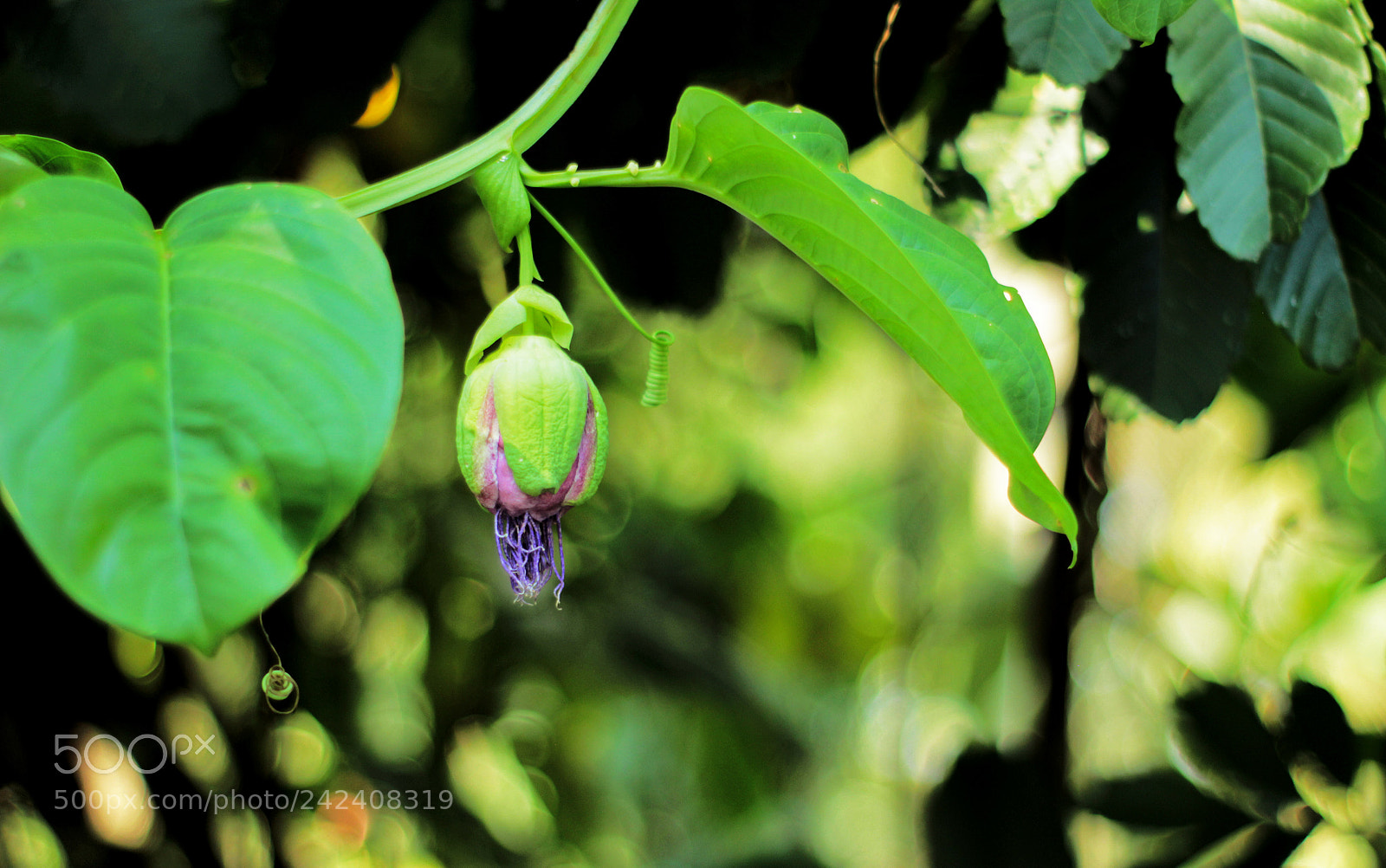 Canon EOS 60D sample photo. Places in one week photography