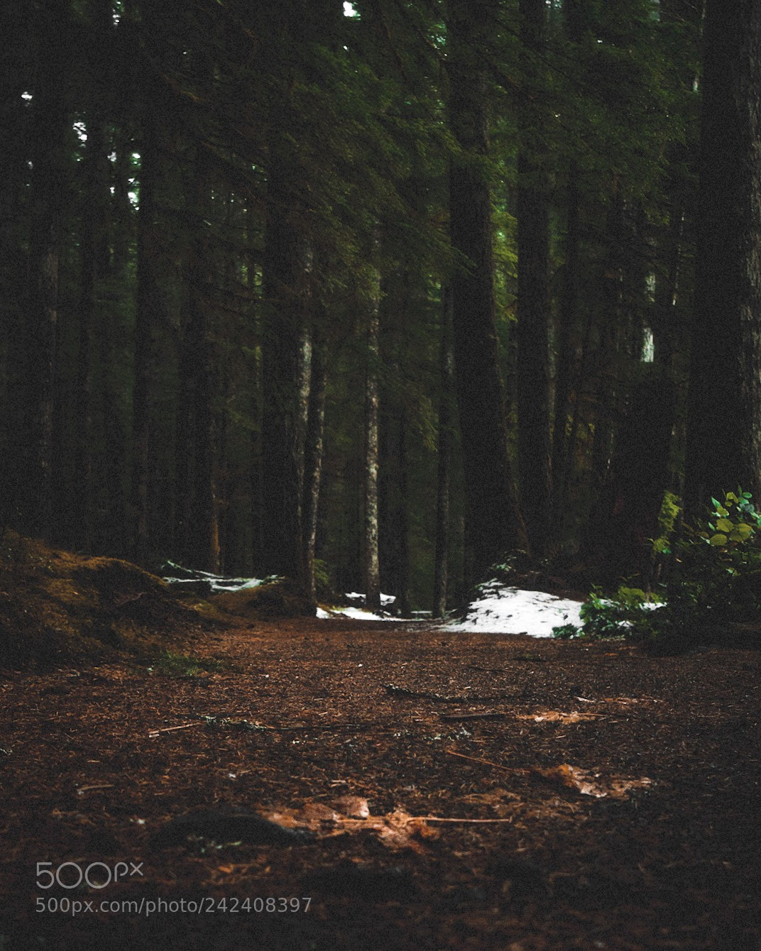 Sony a6500 sample photo. Untitled photography