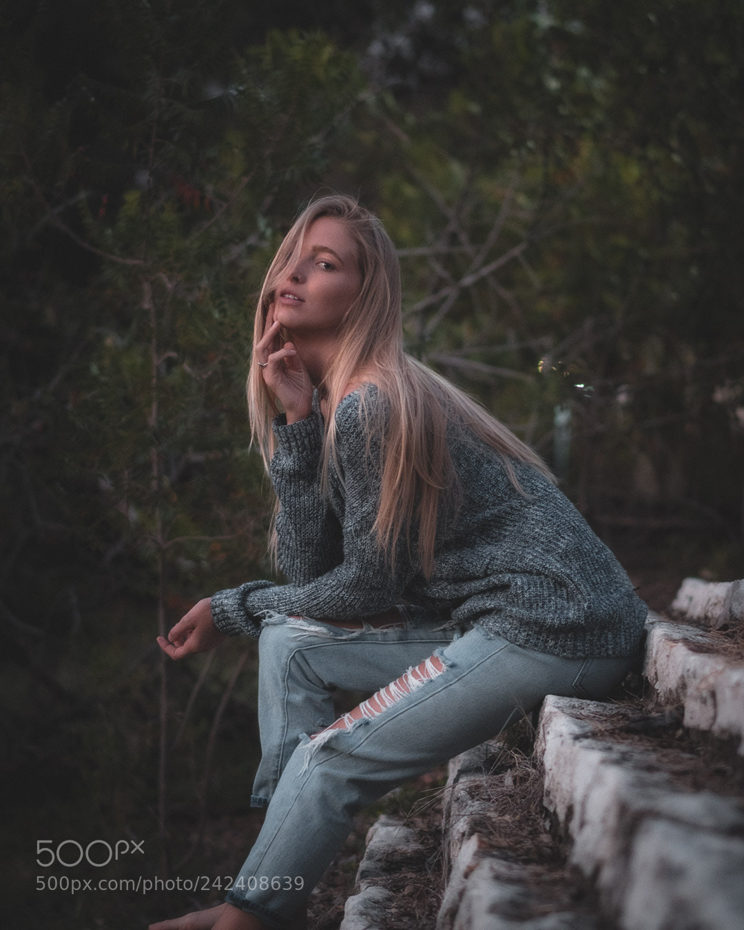 Sony a6500 sample photo. Untitled photography