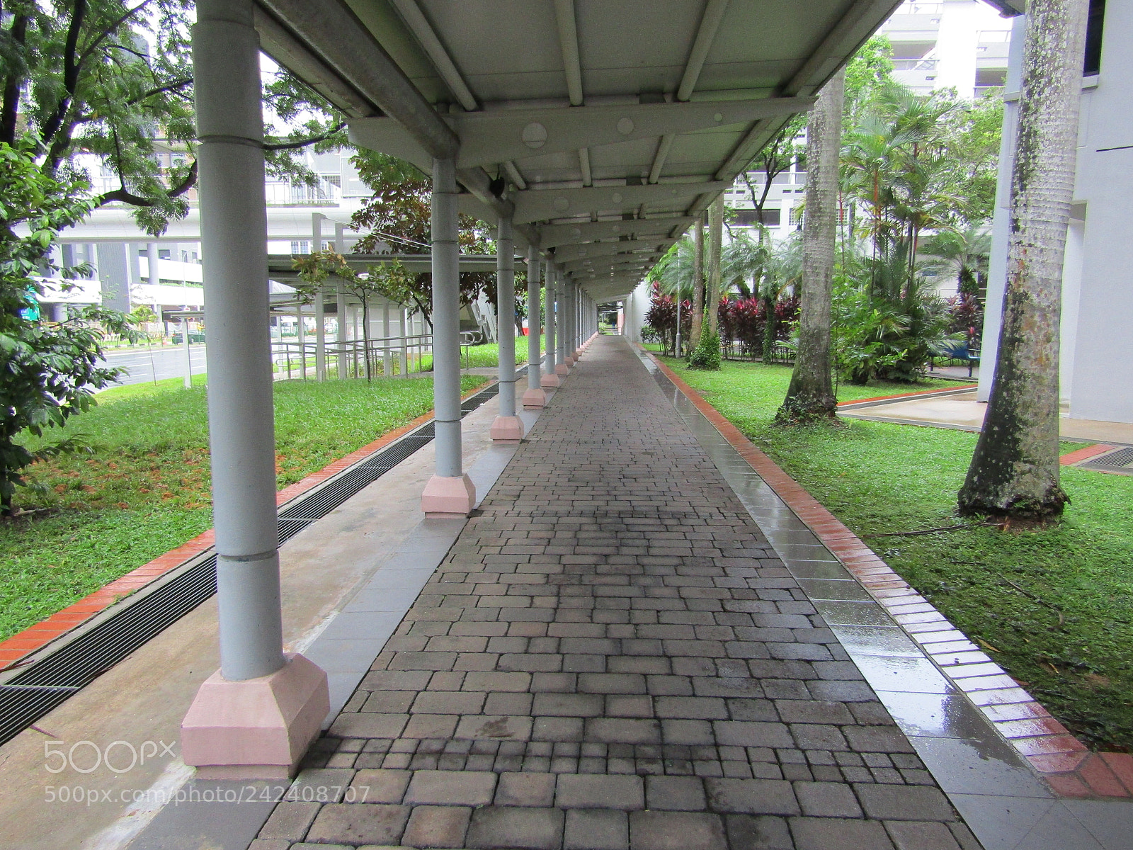Canon PowerShot SX420 IS sample photo. Untitled photography