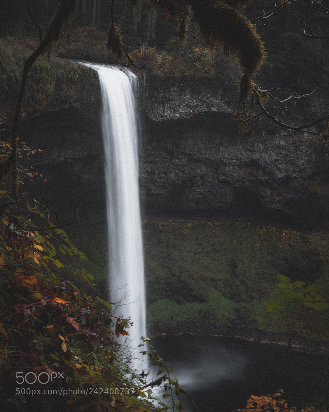 Sony a6500 sample photo. Untitled photography