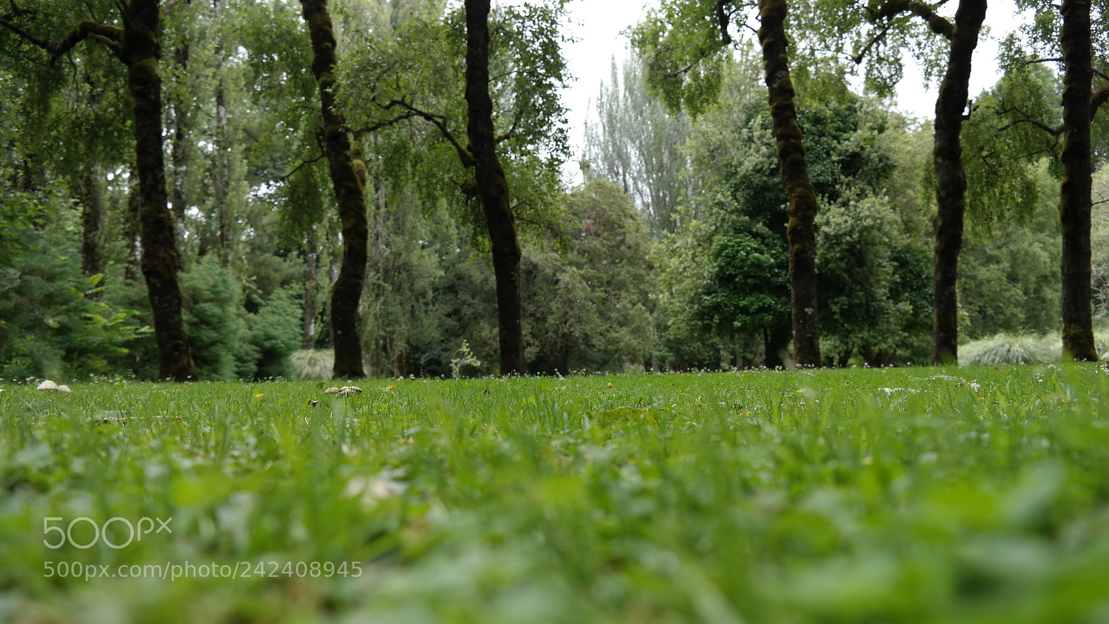 Samsung NX300 sample photo. Samsung csc photography