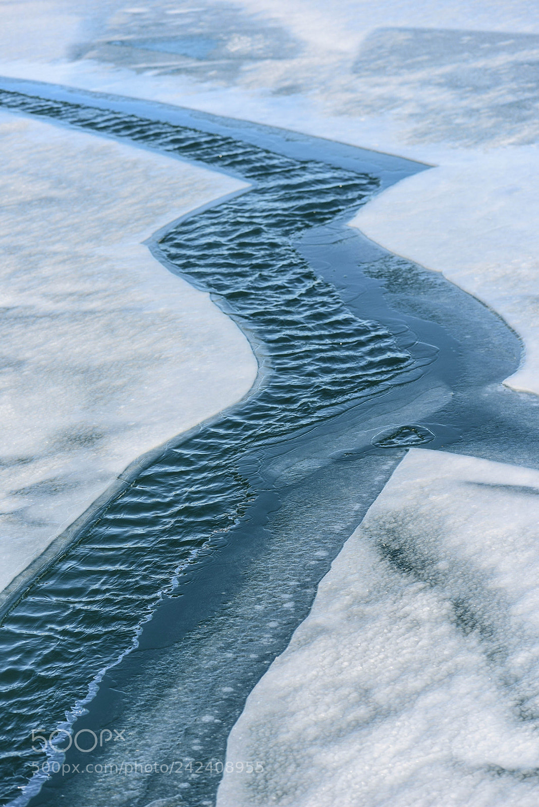 Nikon D810 sample photo. Wintertime. photography