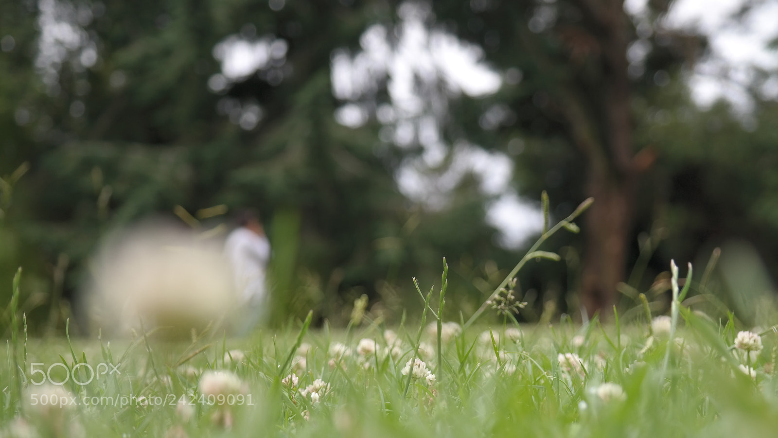 Samsung NX300 sample photo. Jard n bot nico photography