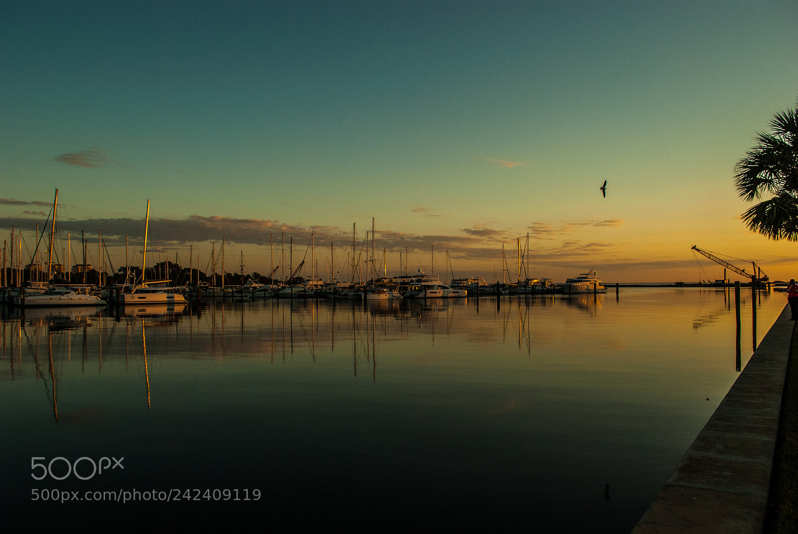 Nikon D60 sample photo. Sailboat at morning. photography