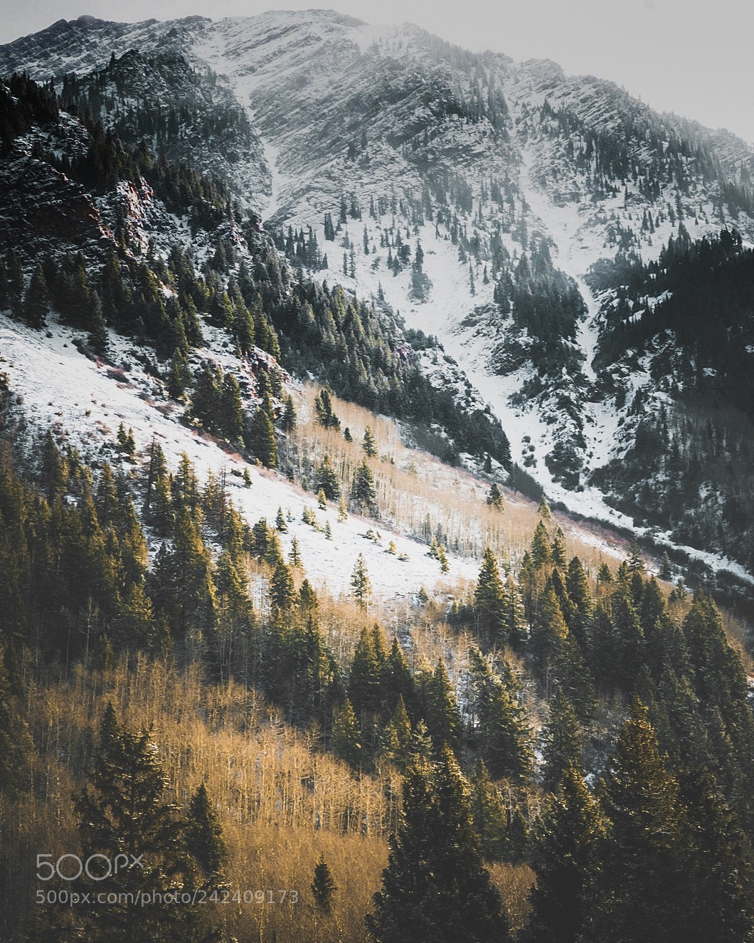 Sony a6500 sample photo. Untitled photography