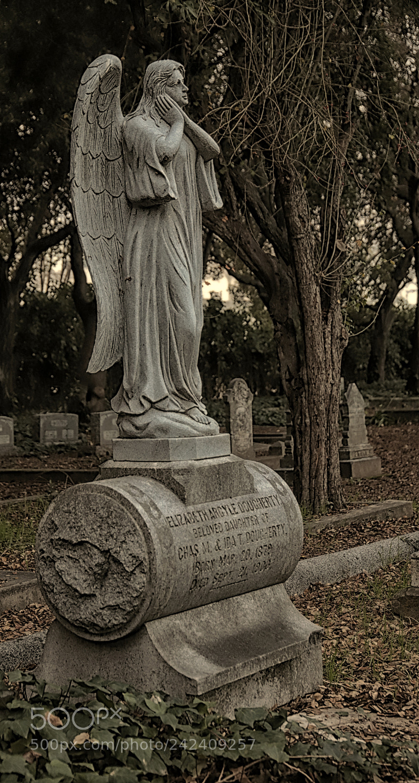 Canon EOS 6D Mark II sample photo. Angel watching over photography