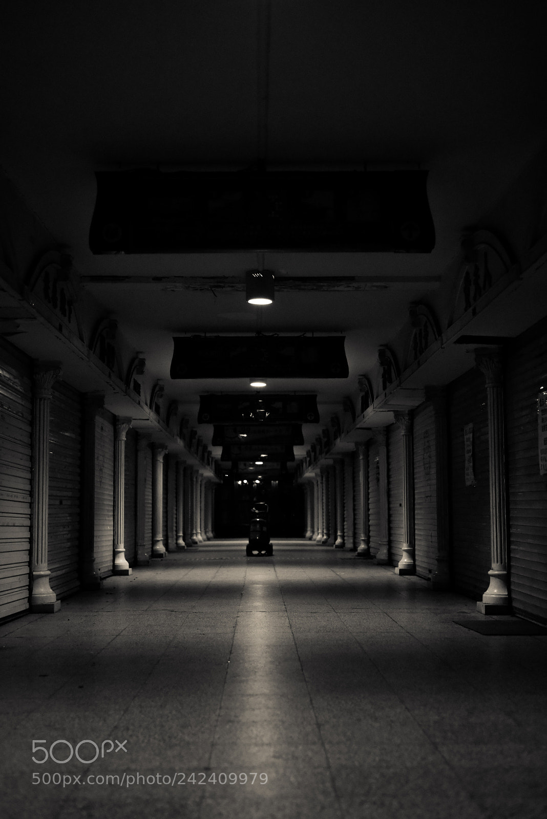 Nikon D810 sample photo. Untitled photography