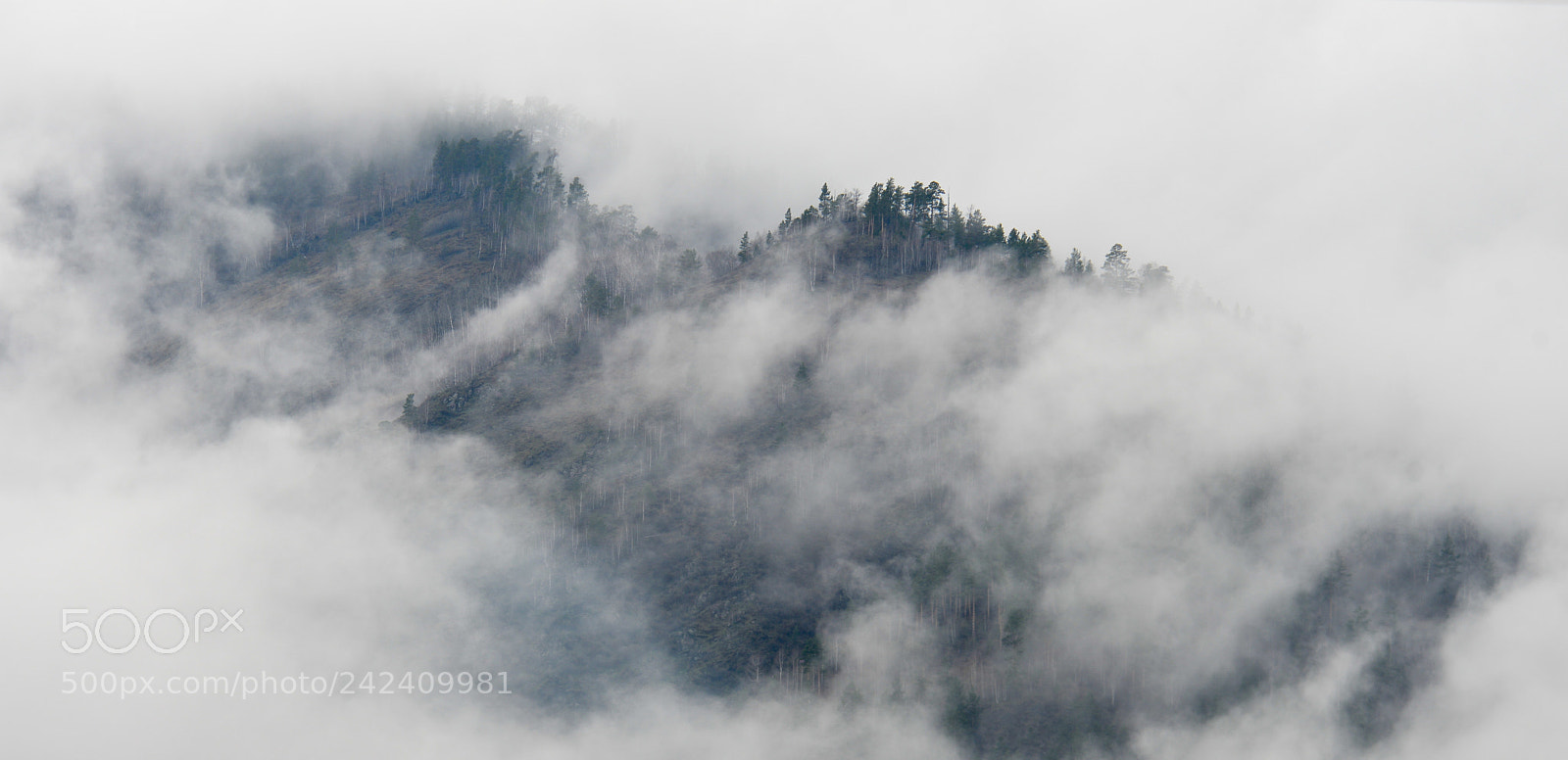 Nikon D800E sample photo. Altai patmos photography