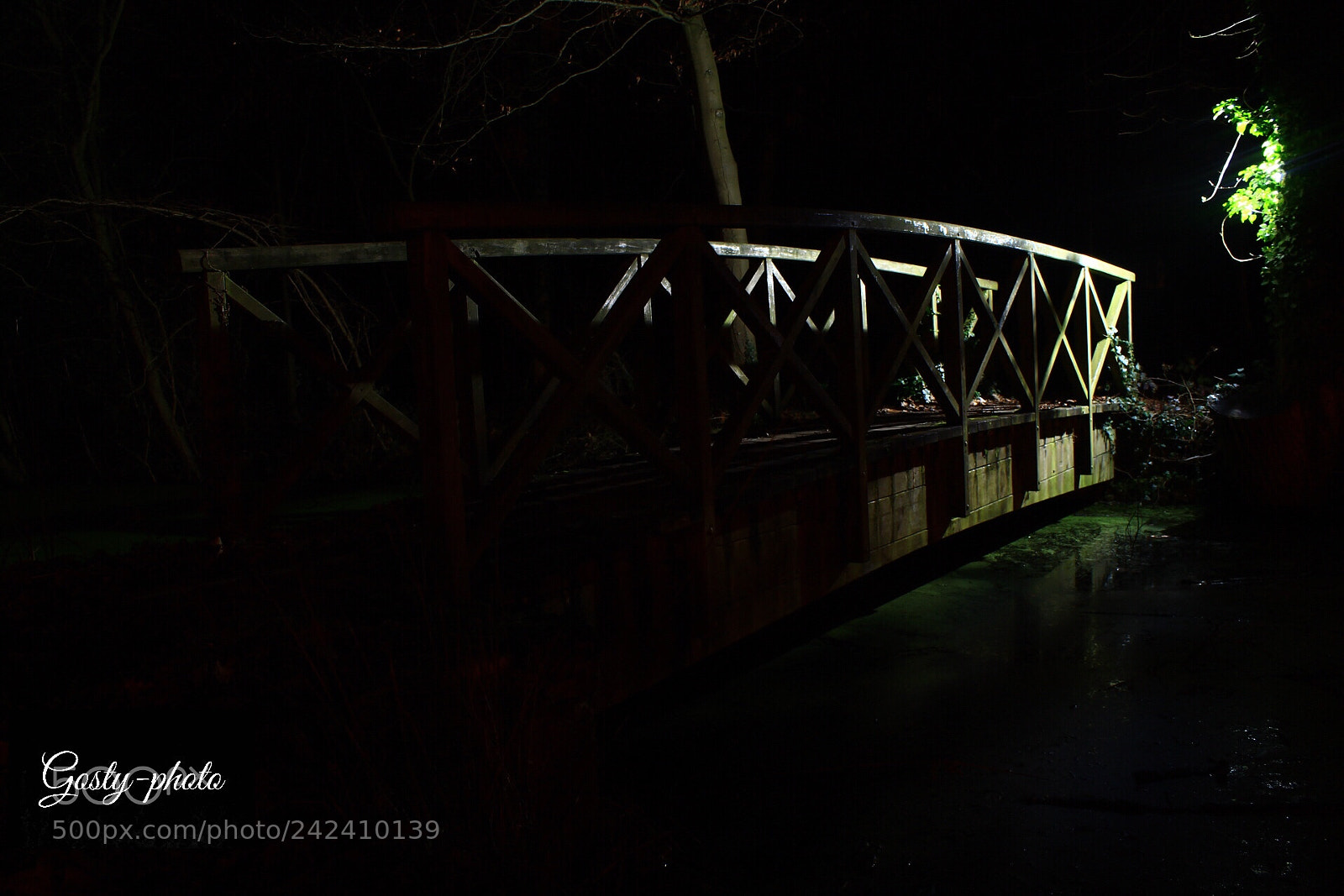 Canon EOS 1300D (EOS Rebel T6 / EOS Kiss X80) sample photo. Wood bridge in forest photography