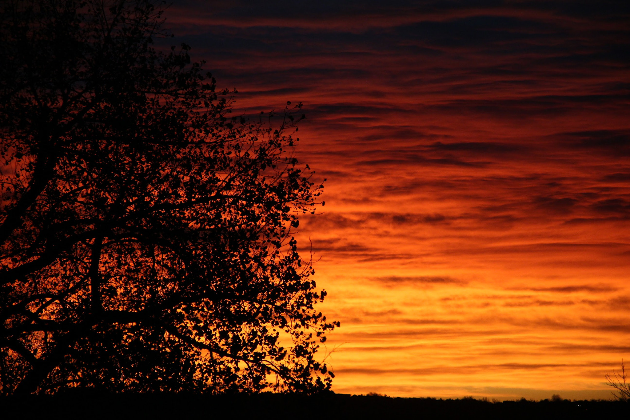 Canon EOS 100D (EOS Rebel SL1 / EOS Kiss X7) sample photo. Flaming clouds photography