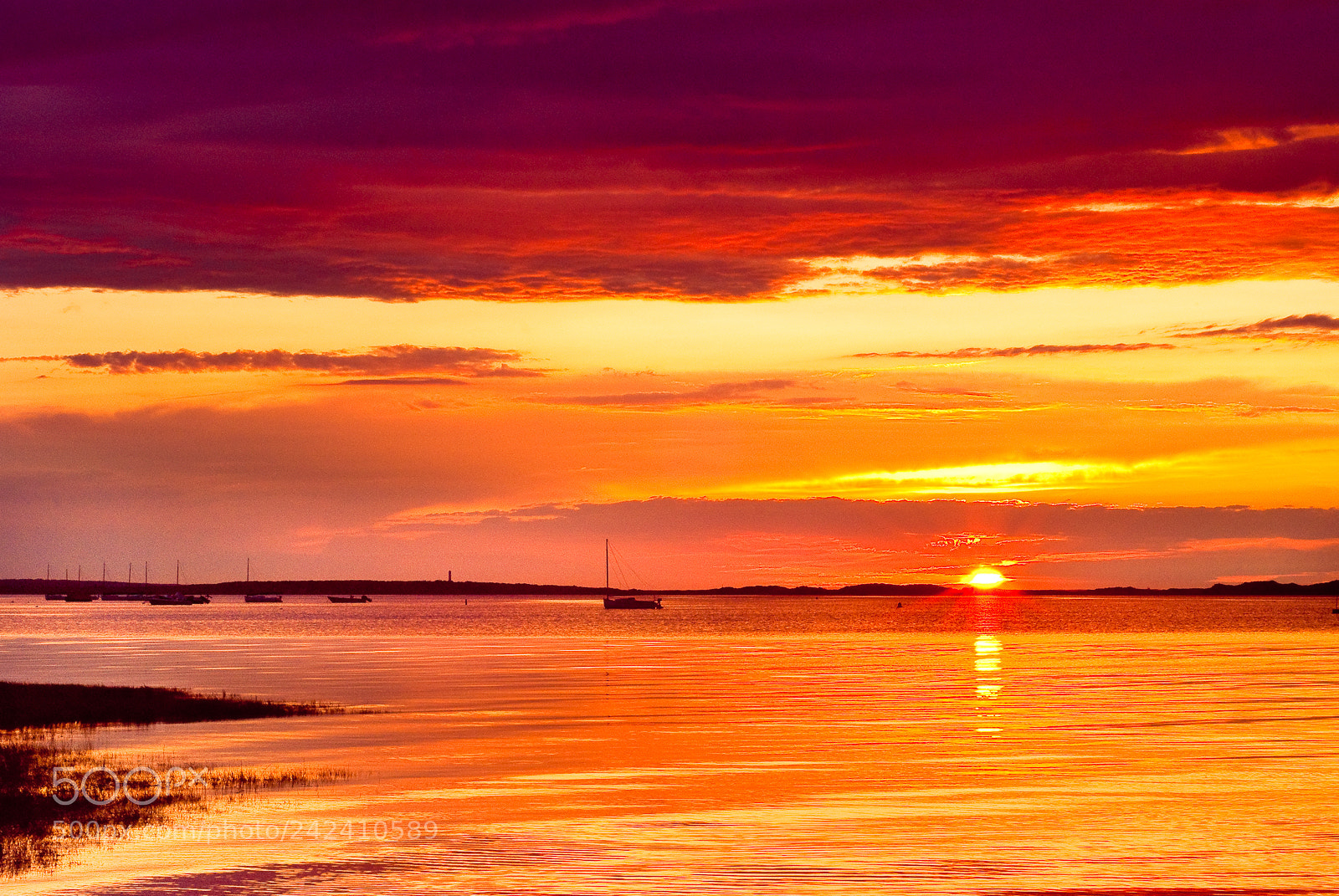Nikon D80 sample photo. Sunset on the water photography