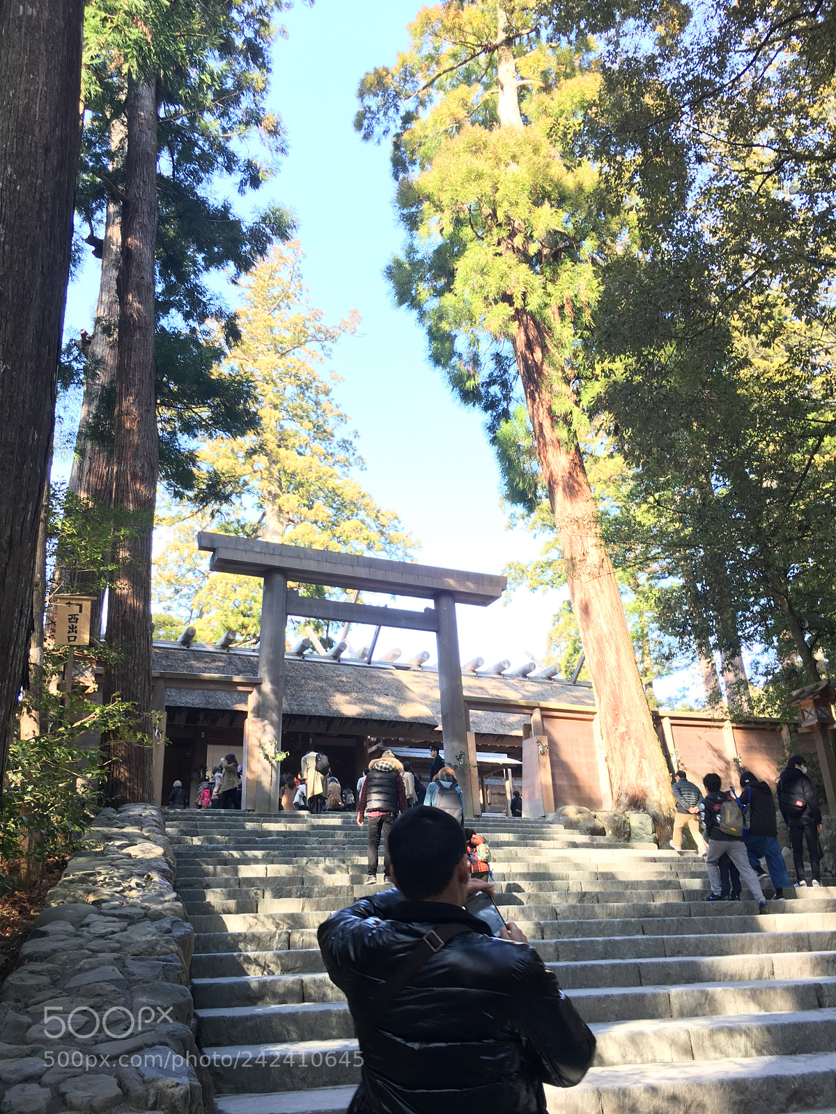 Apple iPhone 6s sample photo. Ise jingu naiku photography