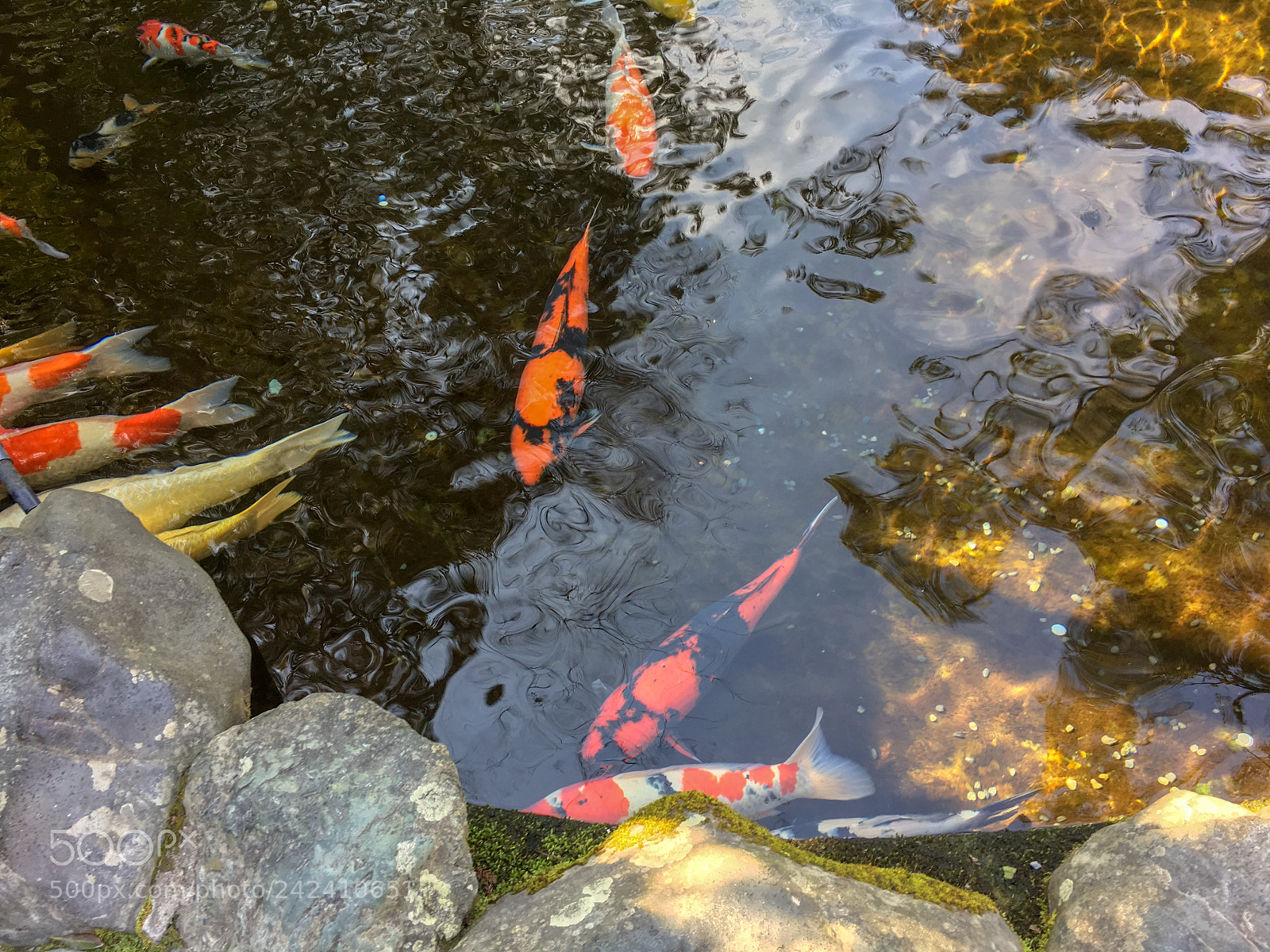Apple iPhone 6s sample photo. Ise jingu naiku photography