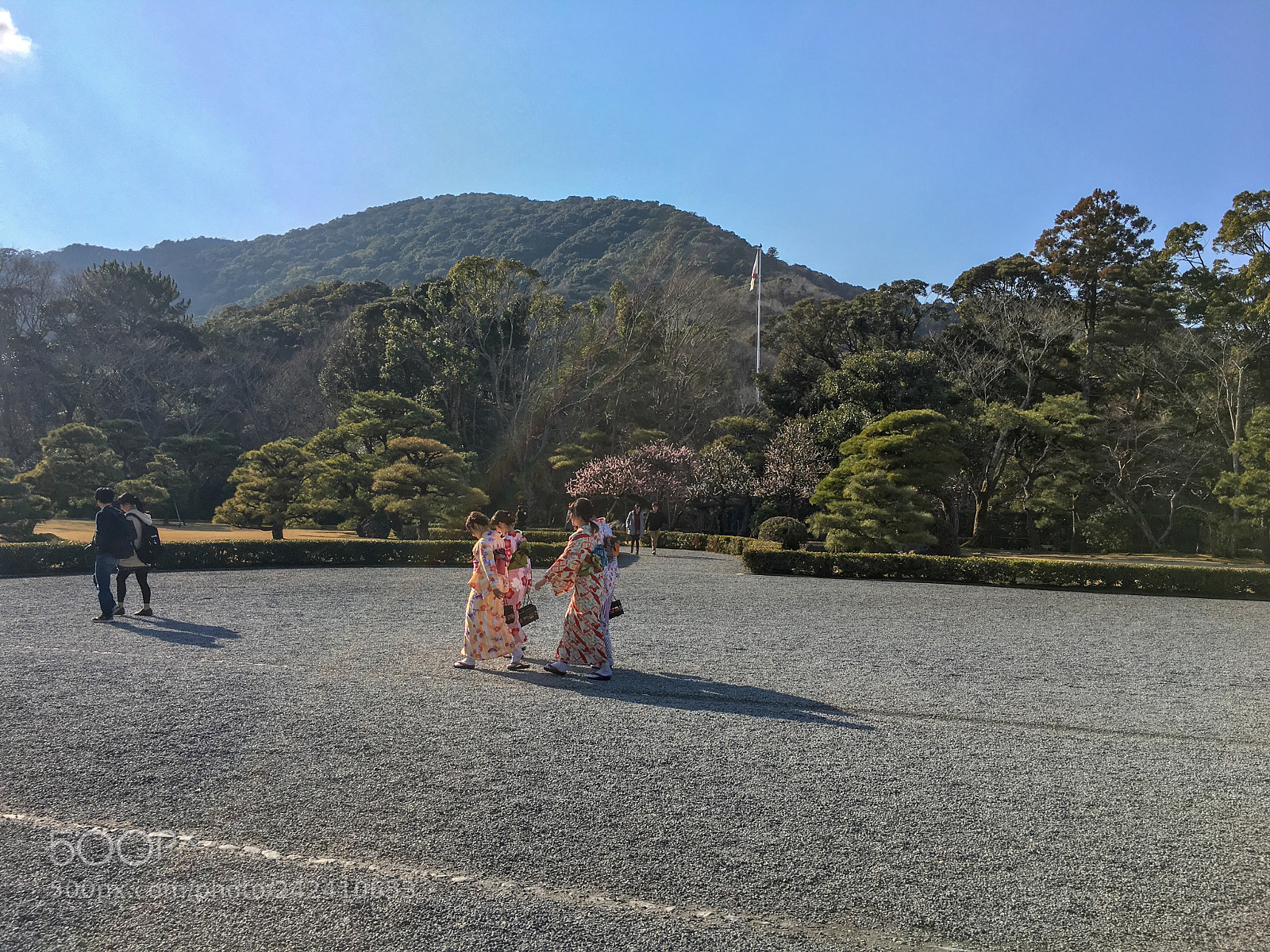 Apple iPhone 6s sample photo. Ise jingu naiku photography