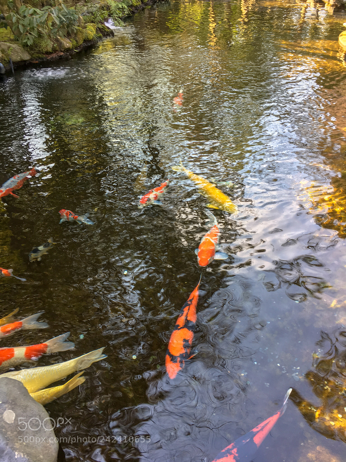 Apple iPhone 6s sample photo. Ise jingu naiku photography