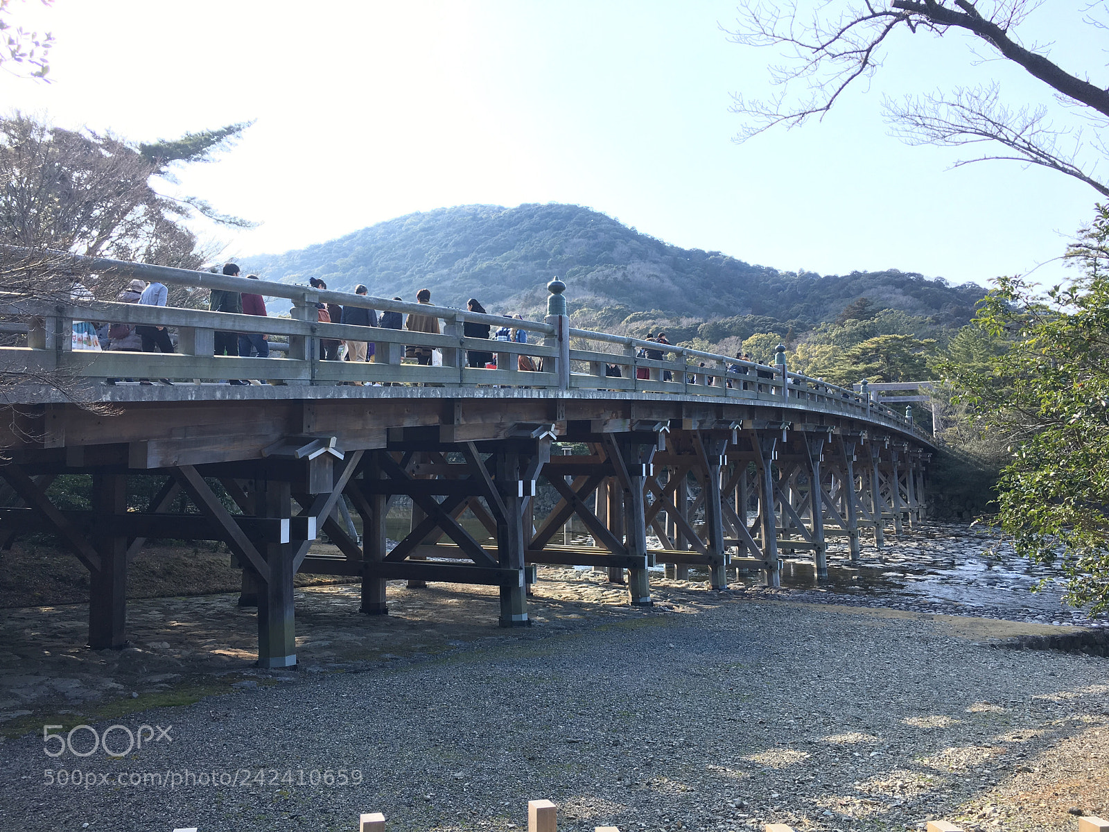Apple iPhone 6s sample photo. Ise jingu naiku photography