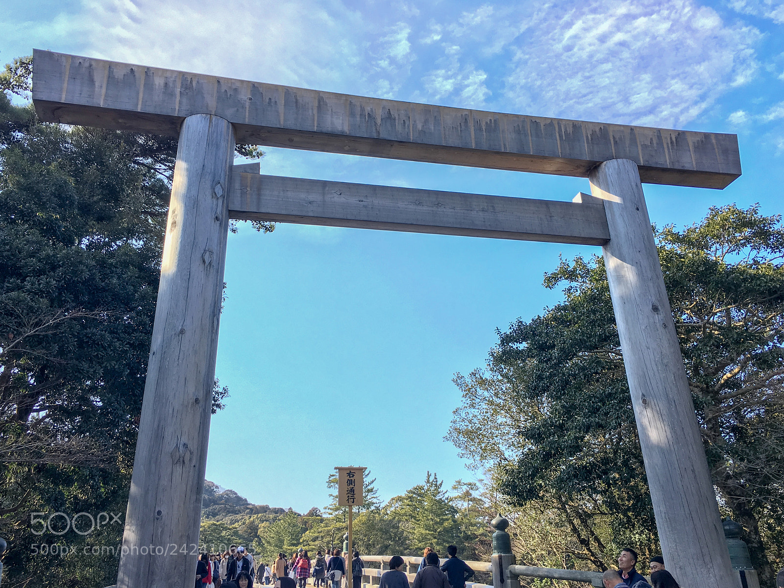 Apple iPhone 6s sample photo. Ise jingu naiku photography