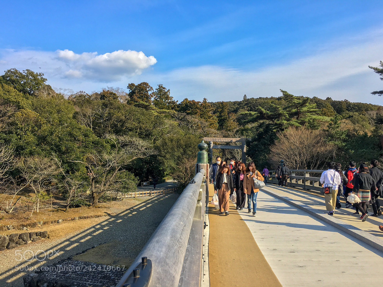Apple iPhone 6s sample photo. Ise jingu naiku photography
