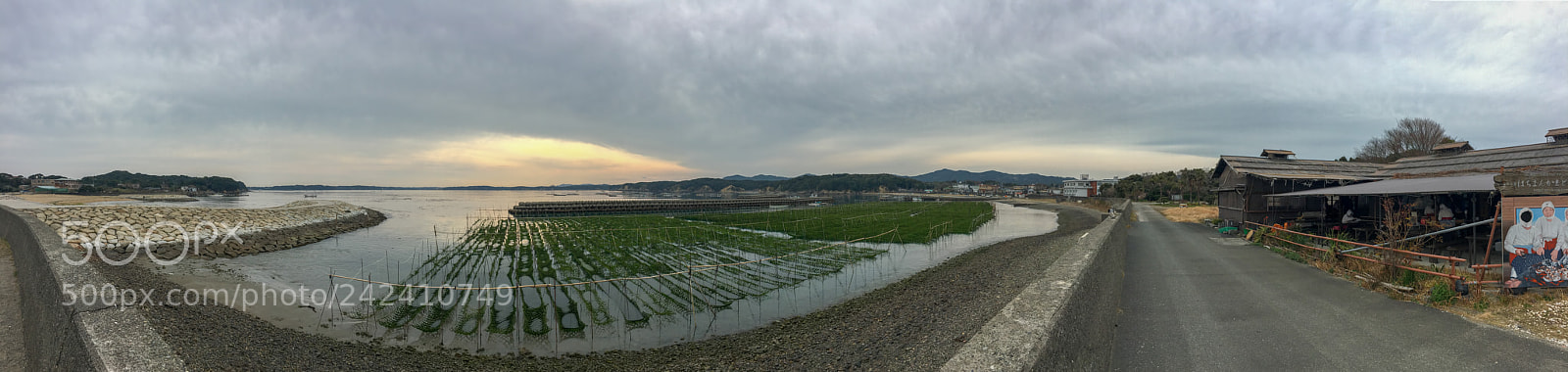 Apple iPhone 6s sample photo. Toba photography
