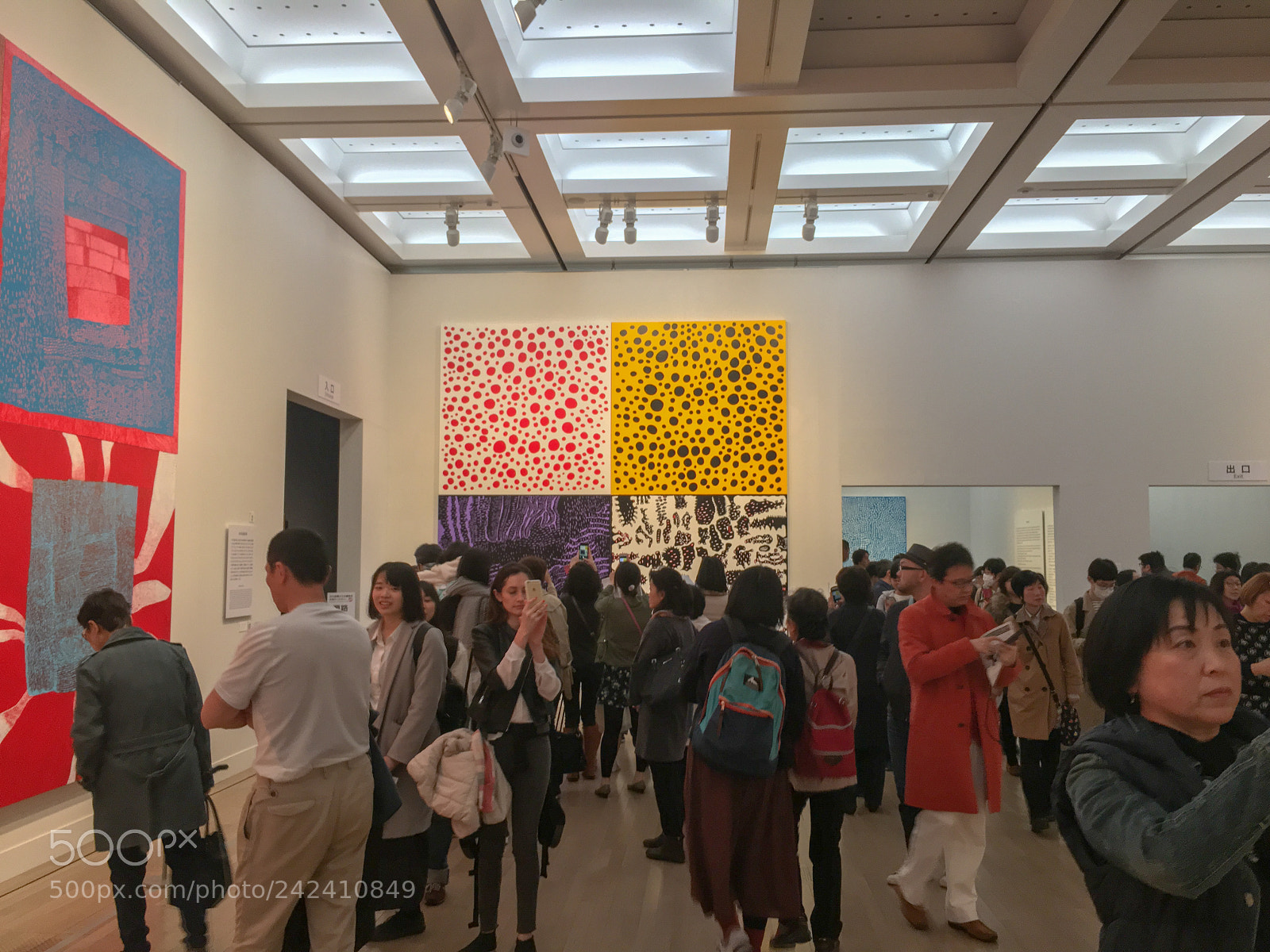 Apple iPhone 6s sample photo. Yayoi kusama - my photography