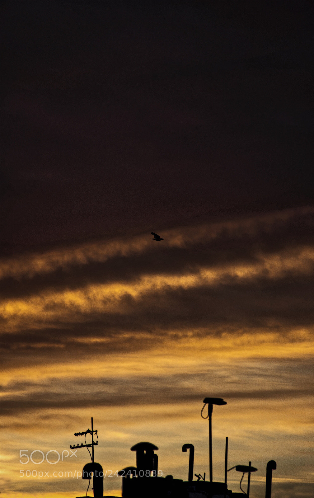 Nikon D7200 sample photo. • morning vibes • photography