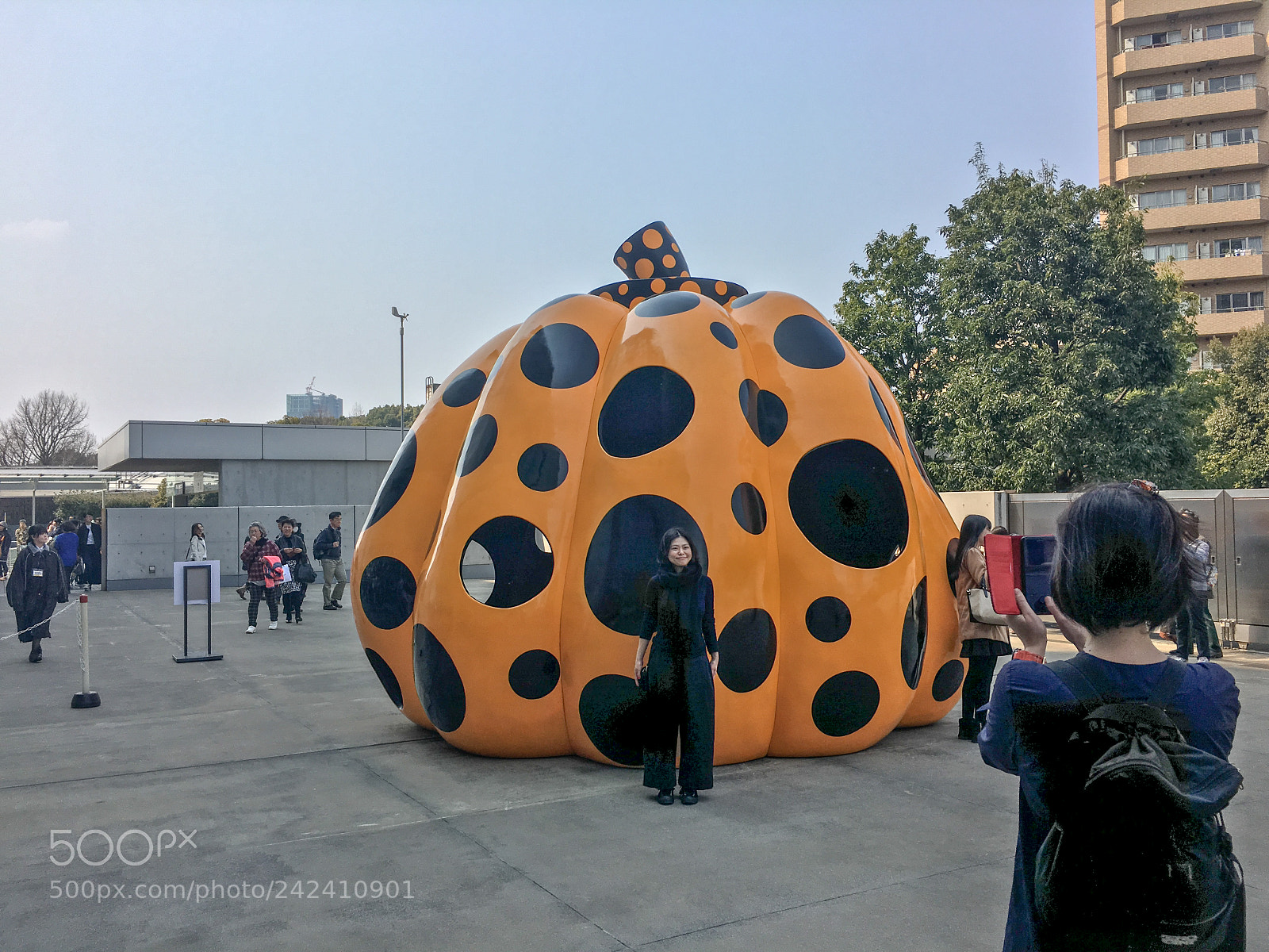 Apple iPhone 6s sample photo. Yayoi kusama - pumpkin photography