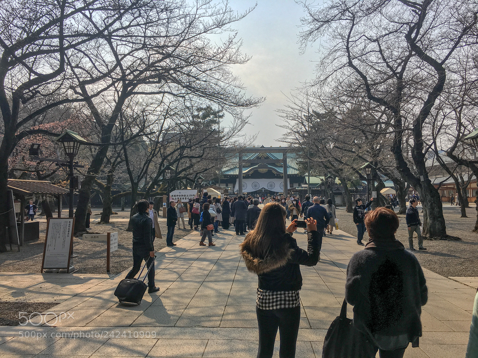 Apple iPhone 6s sample photo. Img photography