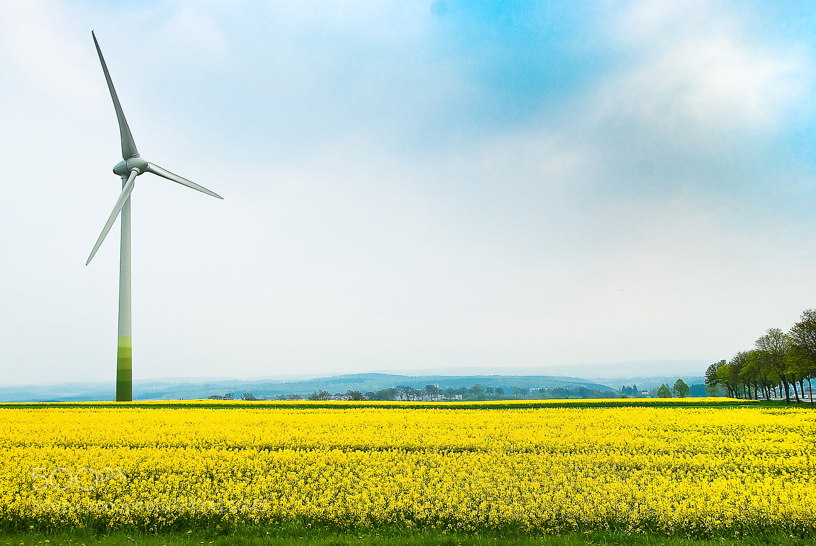 Nikon D80 sample photo. The windmill photography