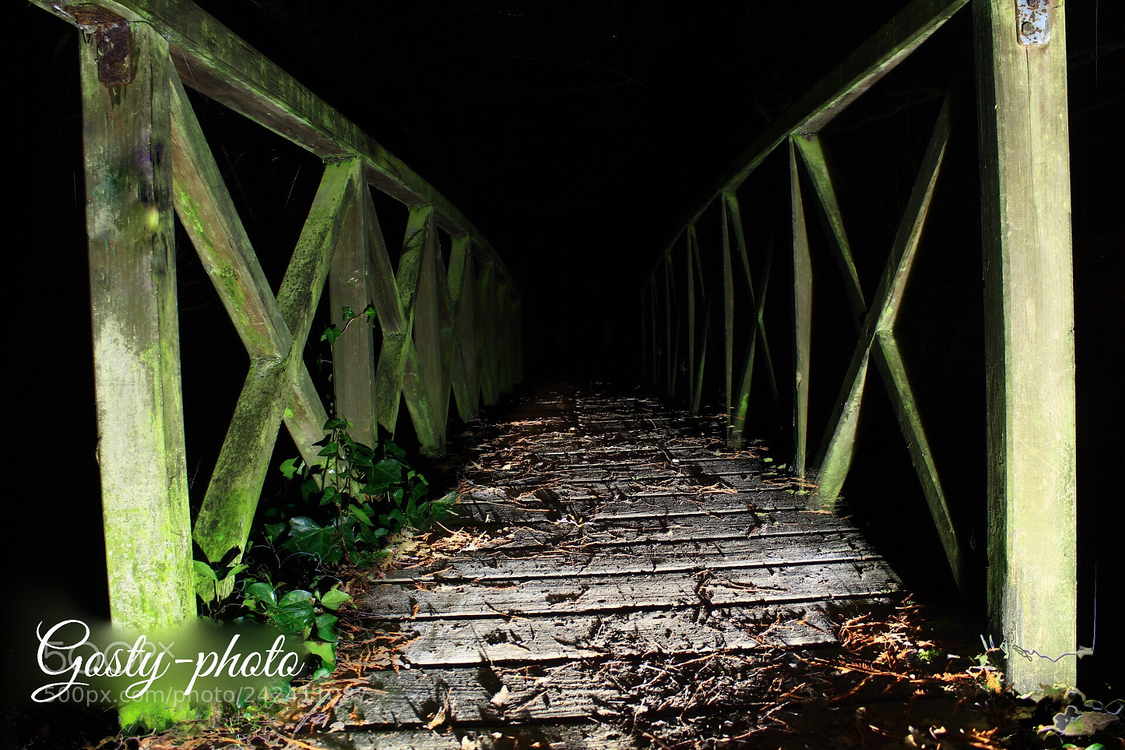 Canon EOS 1300D (EOS Rebel T6 / EOS Kiss X80) sample photo. Wood bridge in forest photography