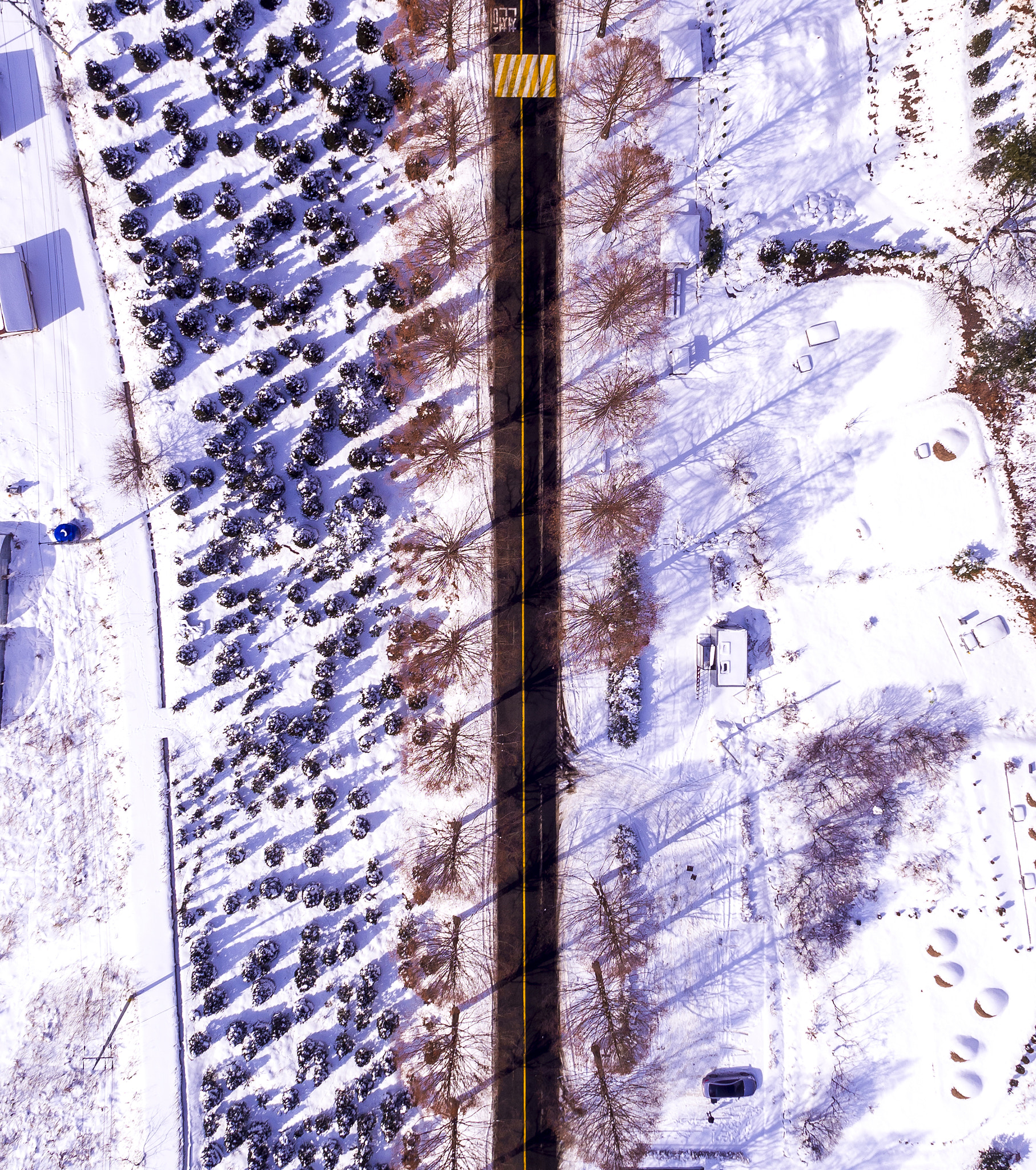 DJI FC550 sample photo. Sky photography