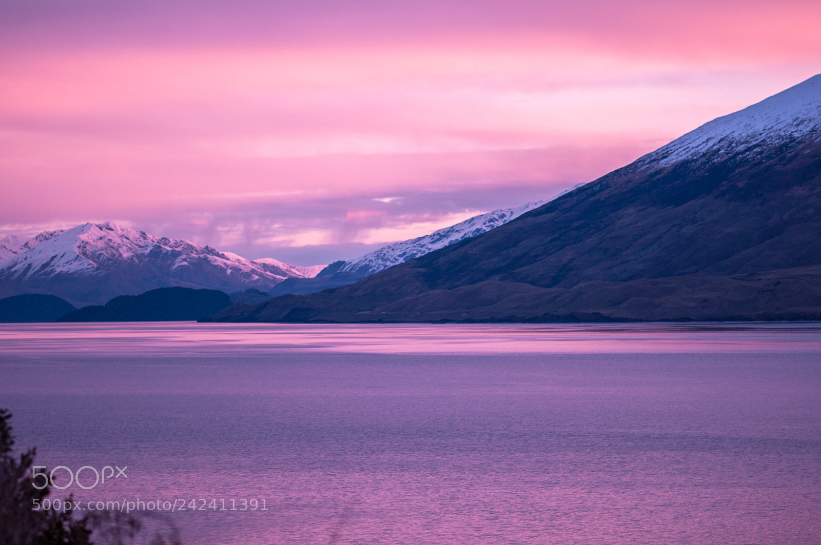 Nikon D90 sample photo. Pink sunset photography