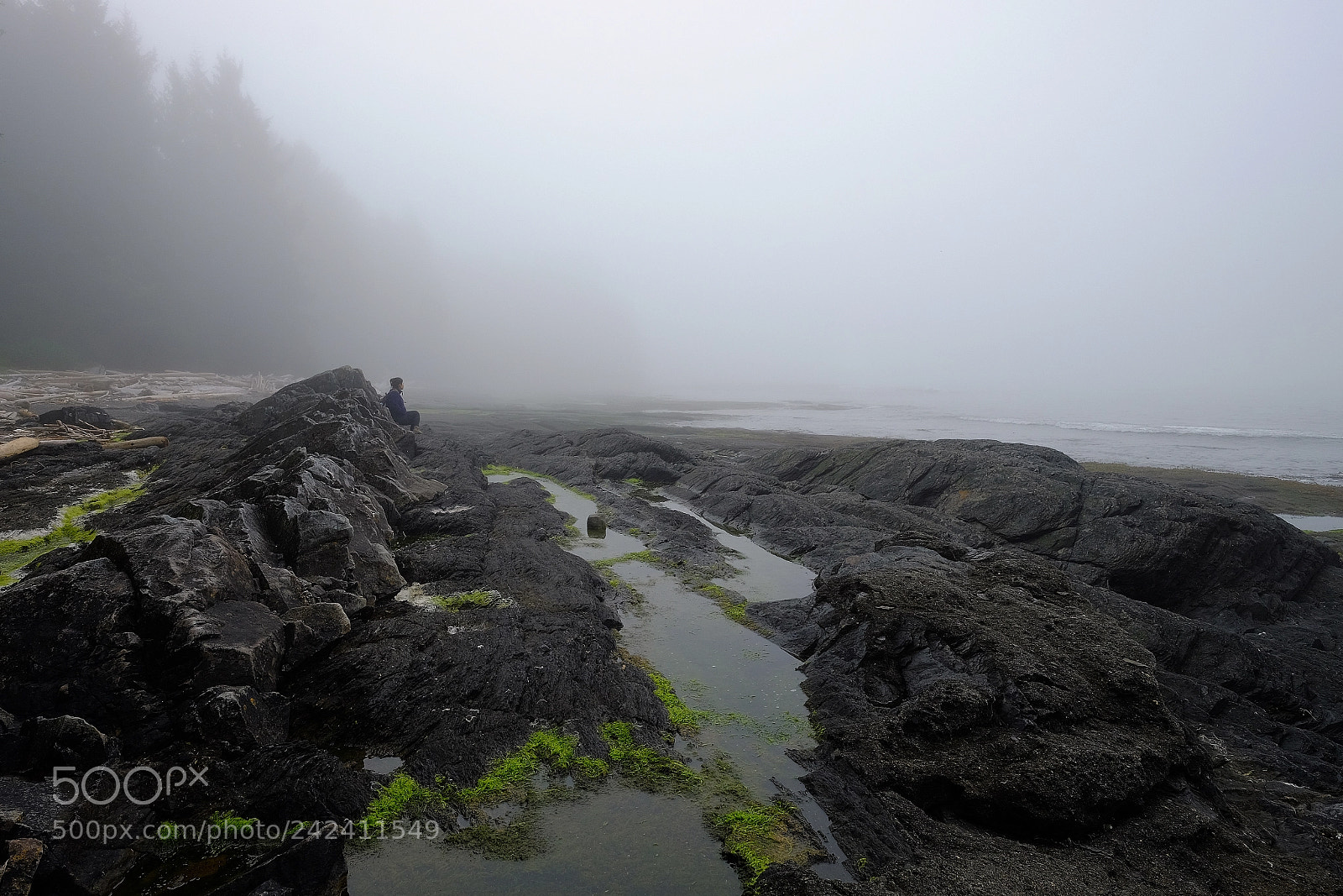 Fujifilm X-T10 sample photo. A foggy morning on photography