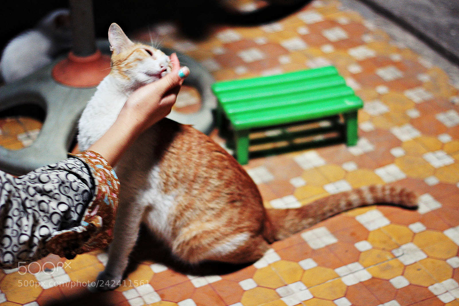 Canon EOS 600D (Rebel EOS T3i / EOS Kiss X5) + Canon EF 50mm F1.8 II sample photo. Affection photography