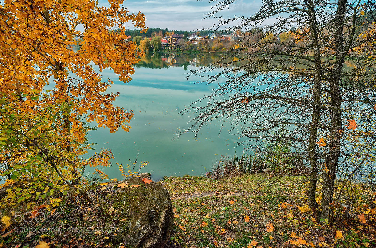 Nikon D800E sample photo. Autumn photography