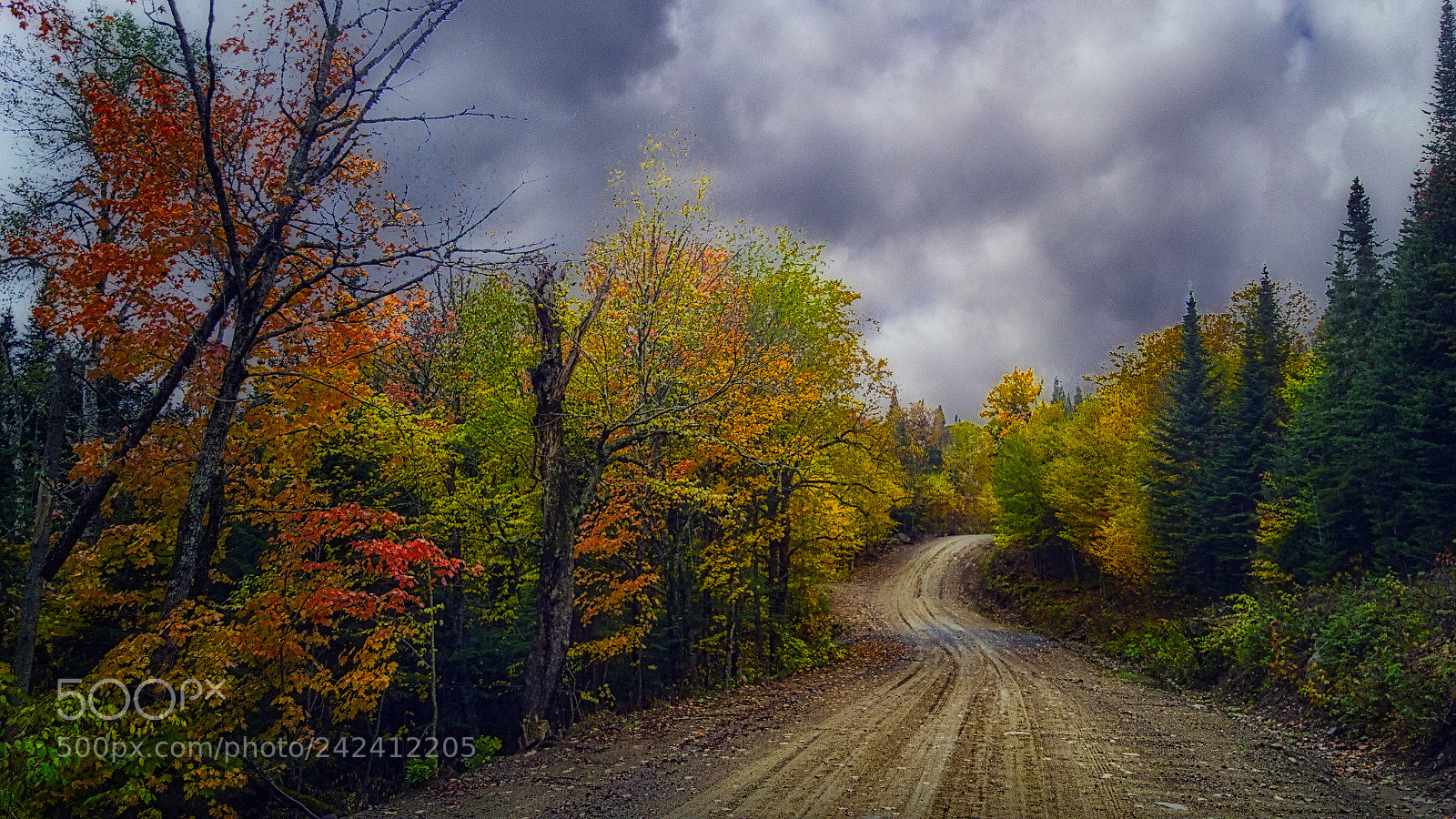 Samsung Galaxy Note5 sample photo. Autumnmontainroad photography