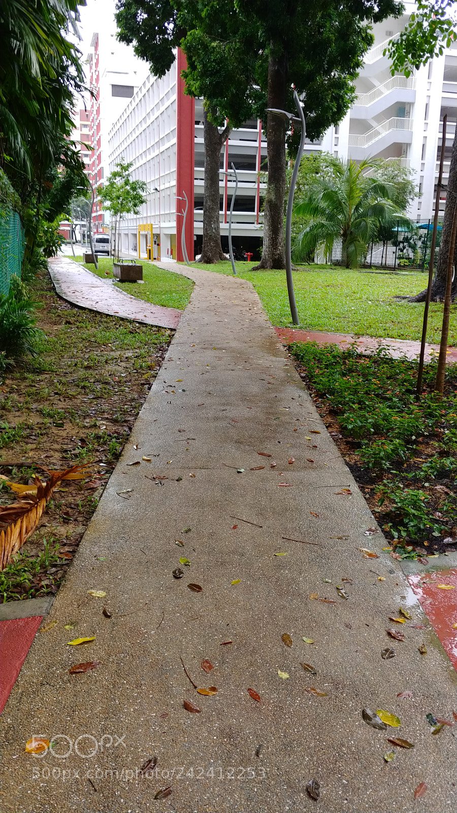 LG V30 sample photo. 7.stone walkway photography