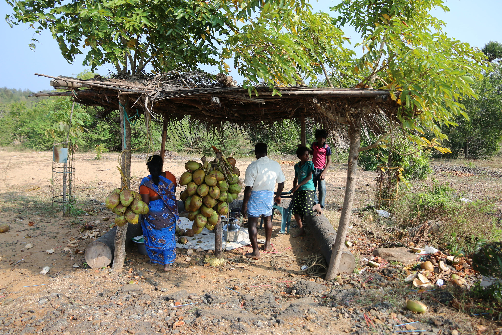 Canon EOS 70D sample photo. Roadside coconut stand photography