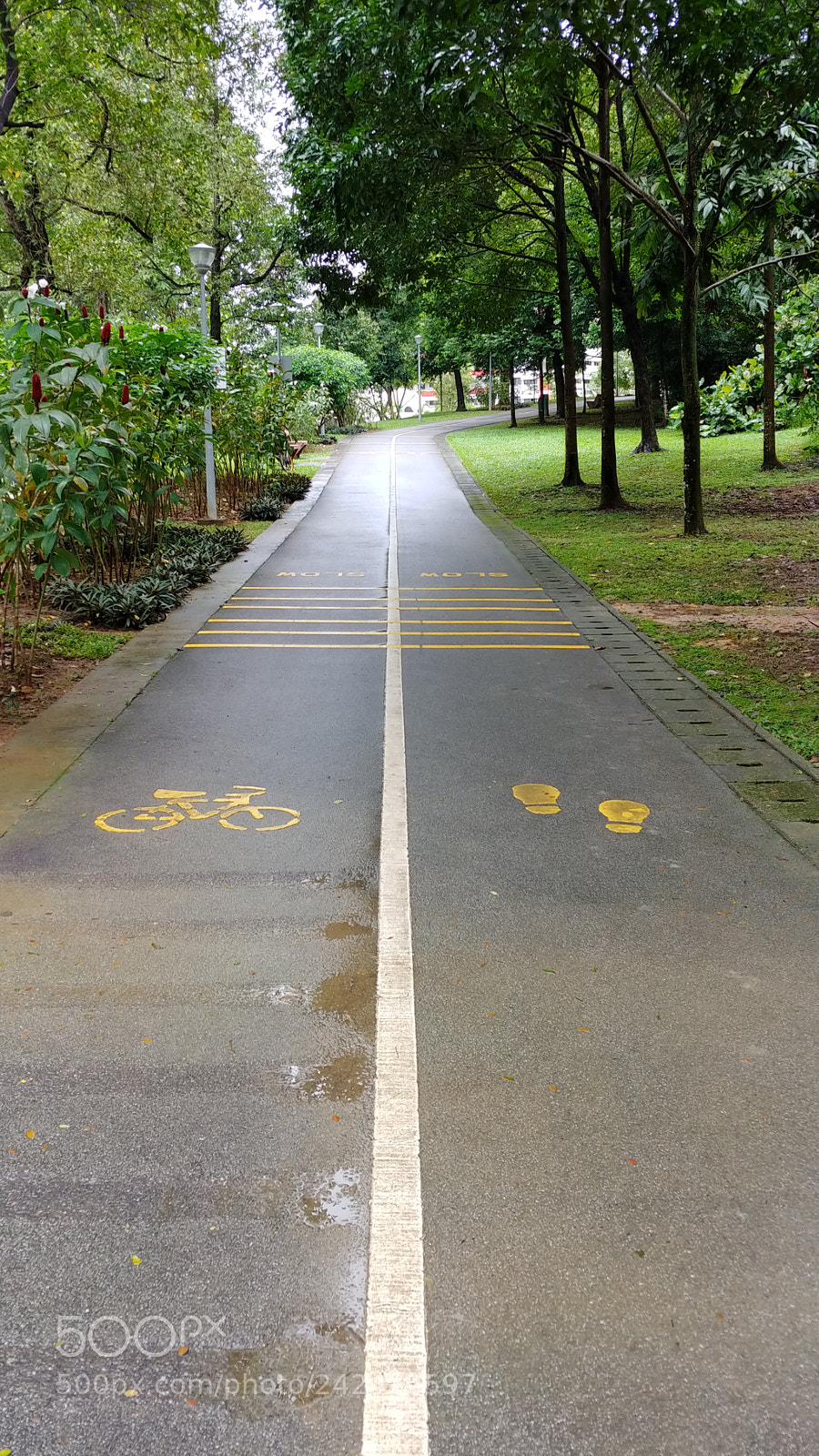 LG V30 sample photo. 9.yishun park photography