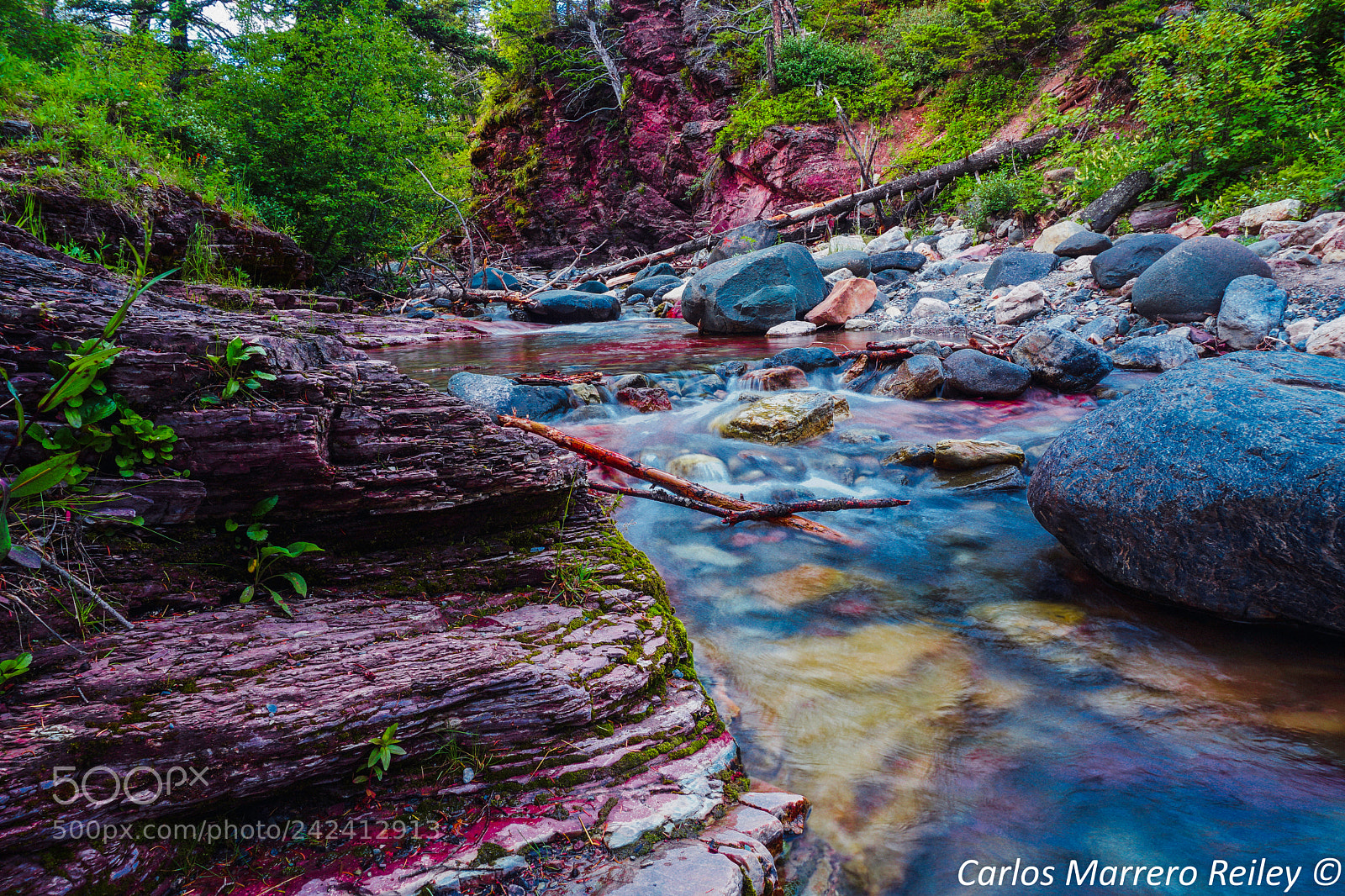 Sony a6500 sample photo. Waterton national park photography