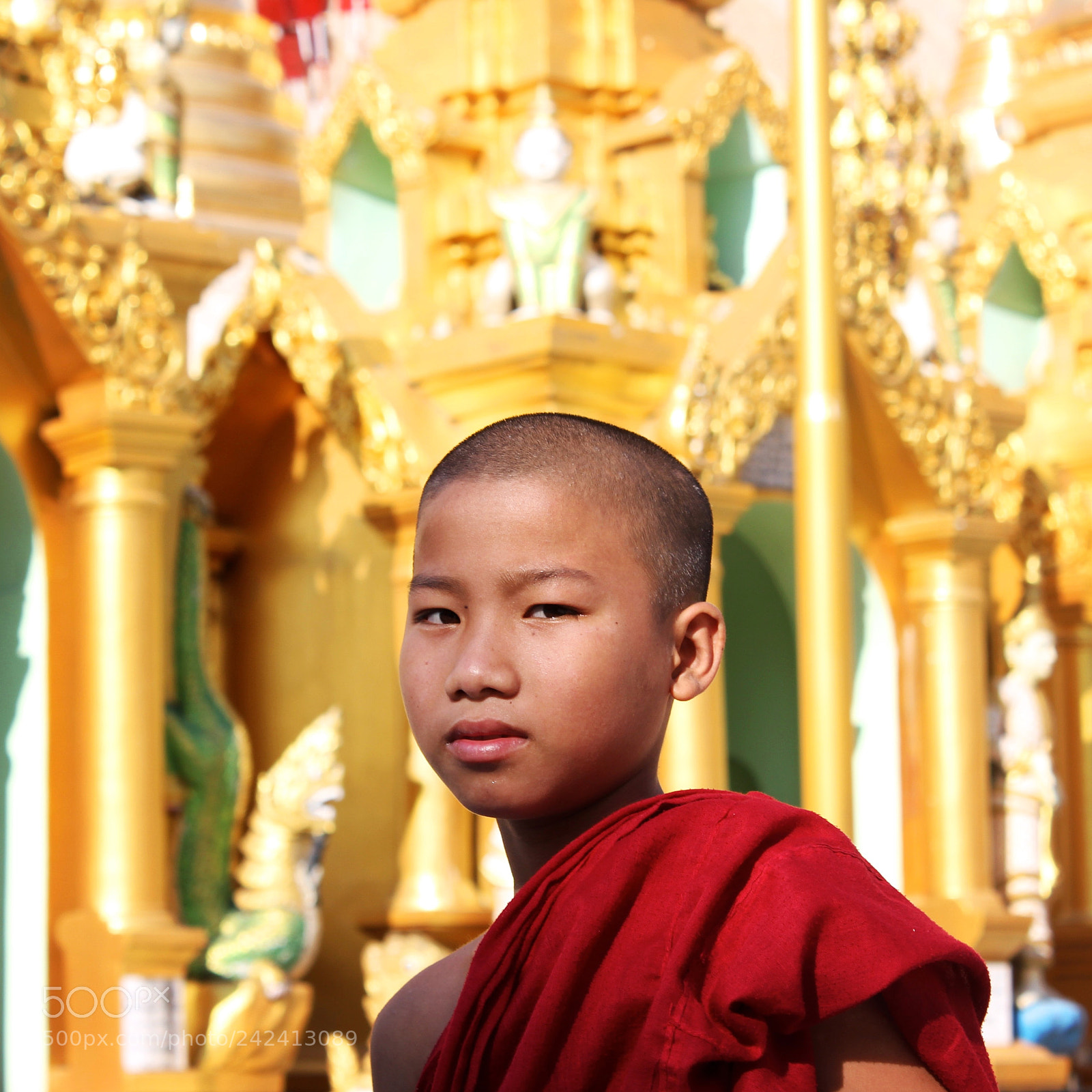 Canon EOS 550D (EOS Rebel T2i / EOS Kiss X4) sample photo. Young buddhist monk photography