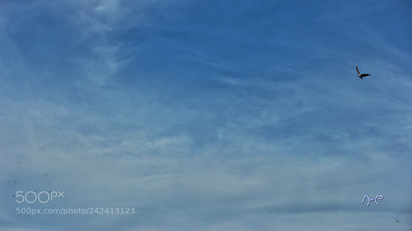 Canon EOS M10 sample photo. One among many photography
