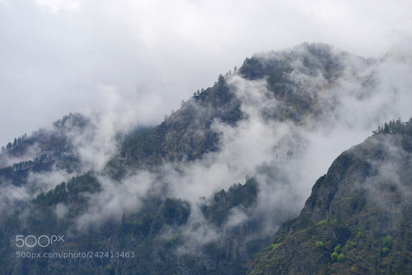 Nikon D800E sample photo. Altai patmos photography