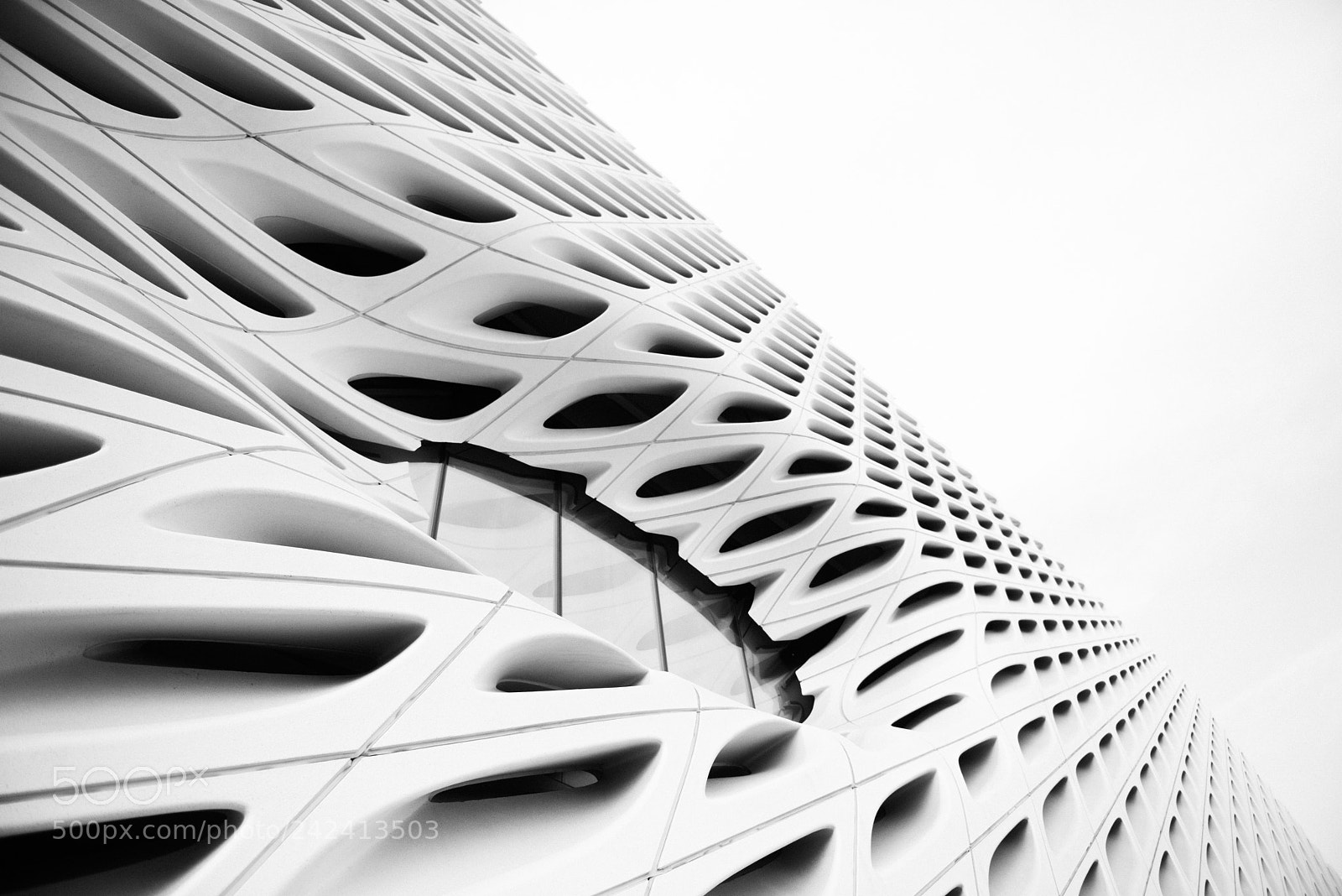 Nikon D810 sample photo. The broad, la photography