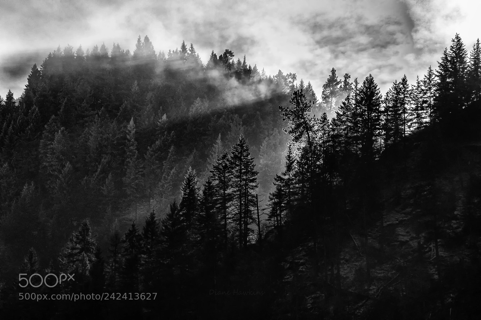 Nikon D3200 sample photo. Bw mountains photography