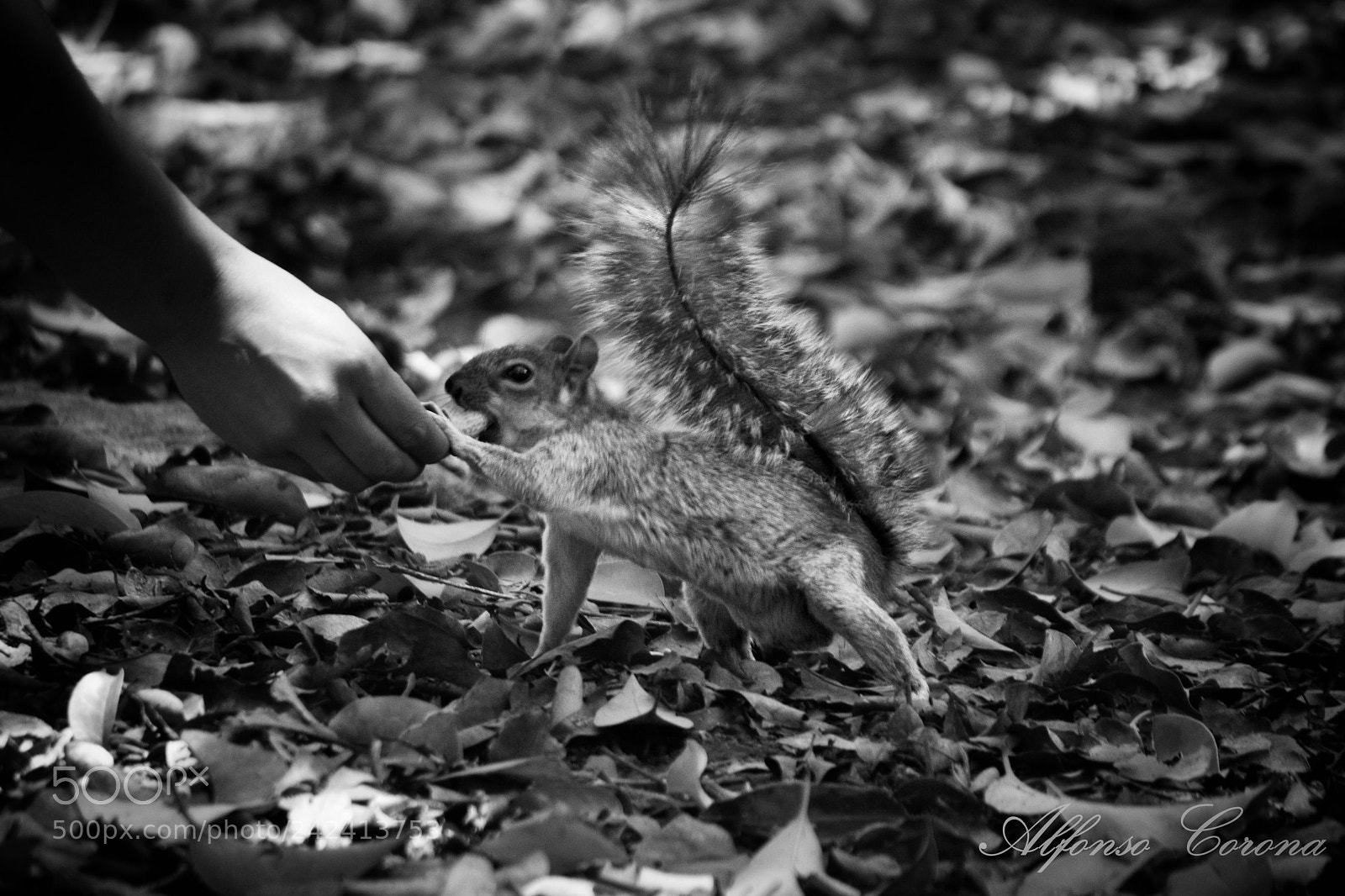Nikon D5500 sample photo. Thanks for the snack photography